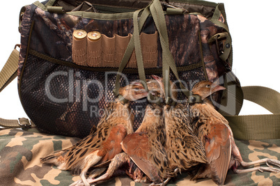 Fowling bag and bird.