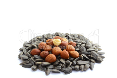 handful of sunflower seeds and hazelnuts