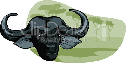 african buffalo retro