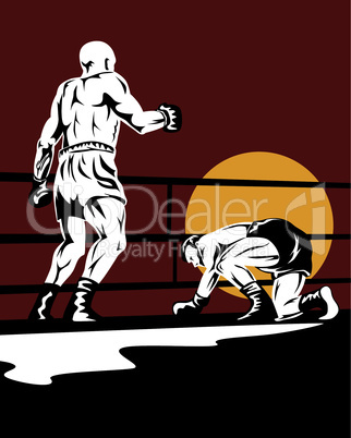 boxer down knockout