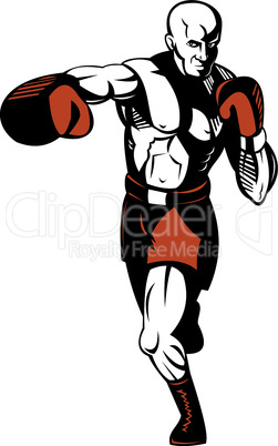 boxer boxing connecting knockout punch