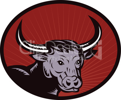bull head front