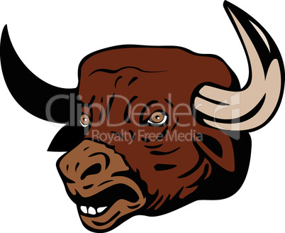 bull head front