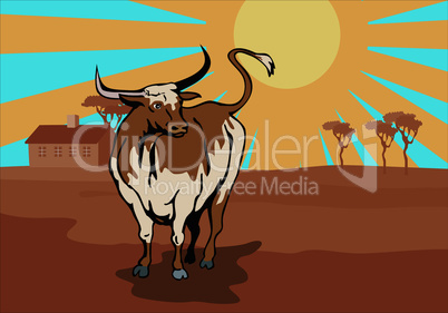 texas longhorn bull