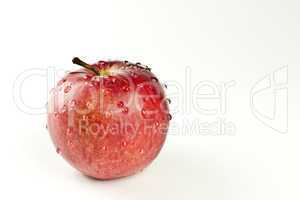 The red appetizing apple isolated on the white
