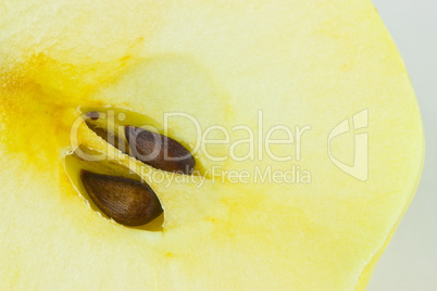 Yellow macro bisected apple with two brown seeds
