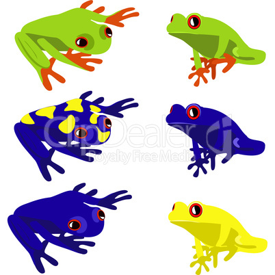 frog set