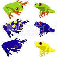 frog set