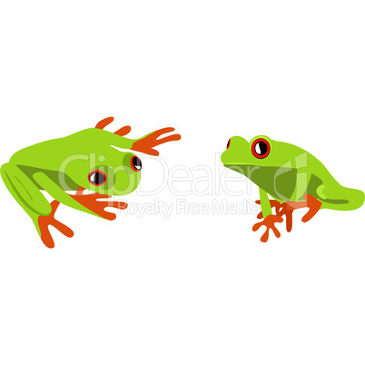 frogs