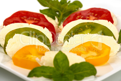 Tomatenscheiben und Mozzarella mit Basilikum auf Teller vor weißem Hintergrund