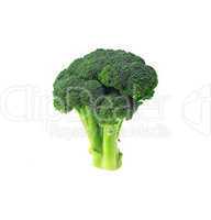 fresh broccoli isolated on white