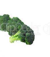 fresh broccoli isolated on white