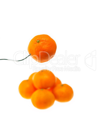 orange mandarin tangerine on fork over white