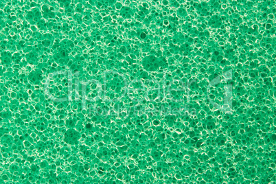 Macro green sponge texture