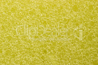 Macro yellow sponge texture