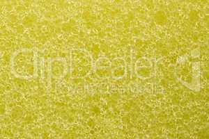 Macro yellow sponge texture