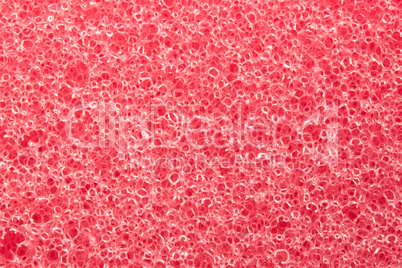 Macro red sponge texture