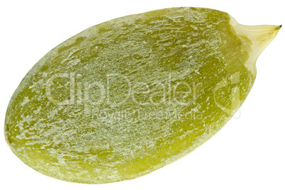 The closeup pumpkin seed isolated on white