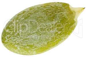 The closeup pumpkin seed isolated on white