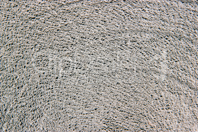 Closeup grey toilet paper roll texture