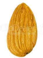 Macro almond nut isolated on white