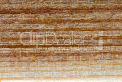 Pine wood texture