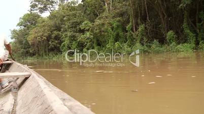 Bootsfahrt auf Amazonas Nebenfluß