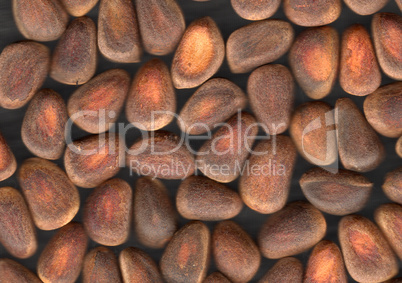 Nuts of Siberian Cedar Pine