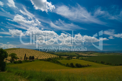 landschaft in der toskana, italien - landscape in tuscany, italy
