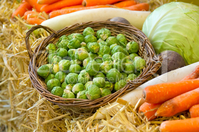 Frisches Gemüse Fresh vegetables
