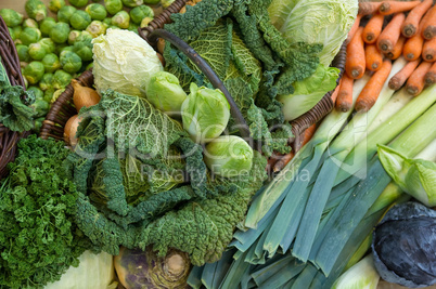 Frisches Gemüse Fresh vegetables