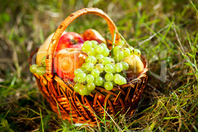 basket full of fruits