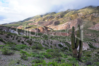 Los Cardones Nationalpark, Argentinien