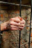 Woman hands behind the bars