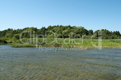 shore of lake pleshcheyevo, summer time