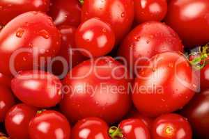 Frische Tomaten mit Wassteropfen bedeckt