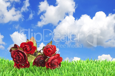 Red flowers on the grass