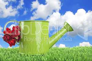 Green watering can with flowers on green grass
