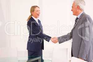 businessman and businesswoman meet and shaking hands
