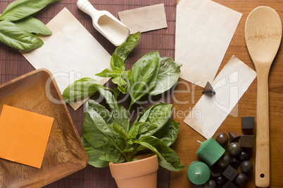 Basil Leaves