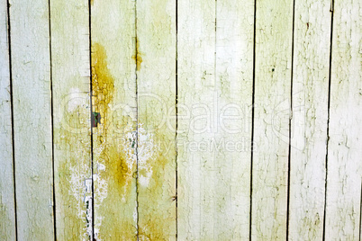 Weathered white wood