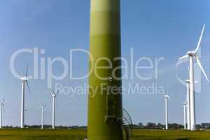 Windkrafträder einer Windkraftanlage auf einer Weide vor blauem Himmel