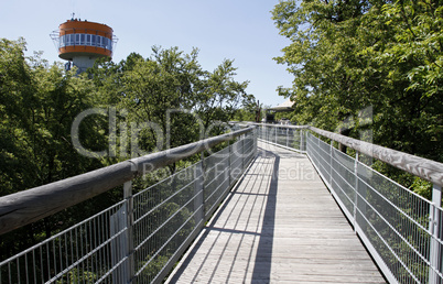 Baumkronenpfad im Nationalpark Hainich