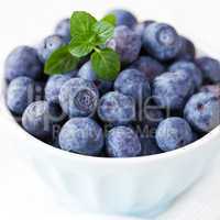 frische Heidelbeeren / fresh blueberries