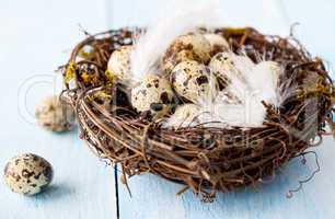 Nest zu Ostern / nest for easter