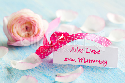 Zum Muttertag / for mothers day