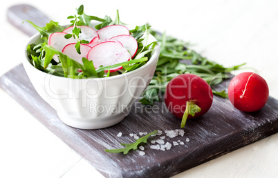 frischer Salat mit Radieschen / fresh salad with radish