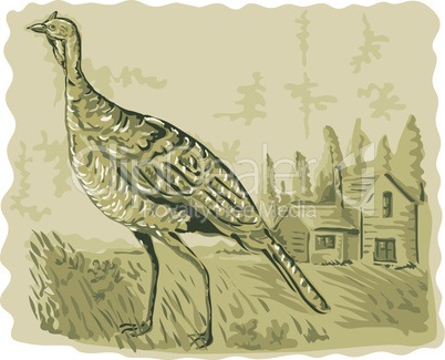 wild turkey house prarie watercolour retro