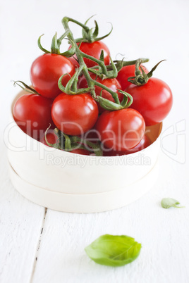 Cocktailtomaten / tomatoes