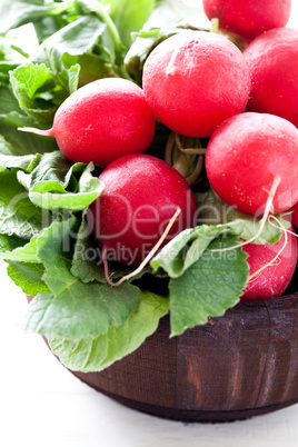 Radieschen / radish